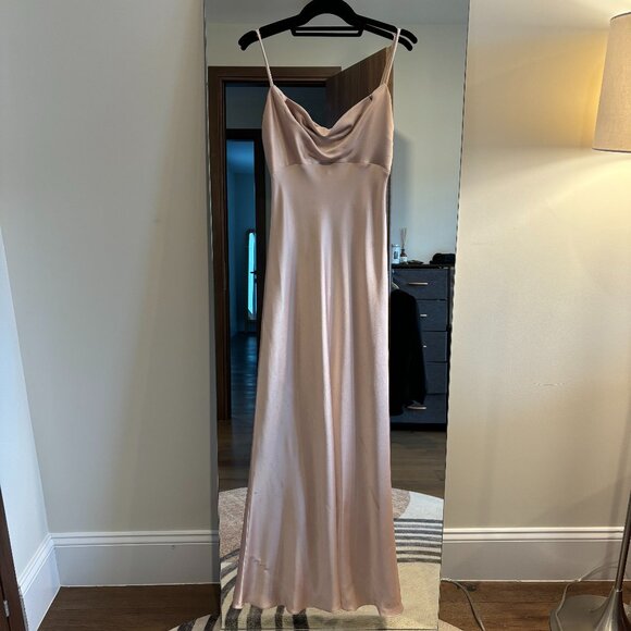 Jenny Yoo Women's Maxi Dress in Blush - Picture 3 of 6